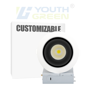 Plafonnier anti-éblouissant Downlight de lumières de tache de changement de CCT de Dimmable